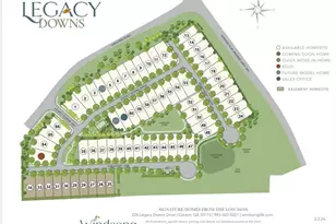 229 Legacy Downs Dr, Canton, GA 30118 - Photo 19