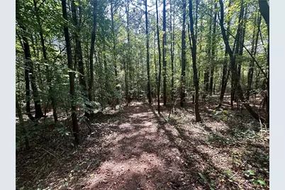 7330 Frix Road, Cumming, GA 30028 - Photo 9