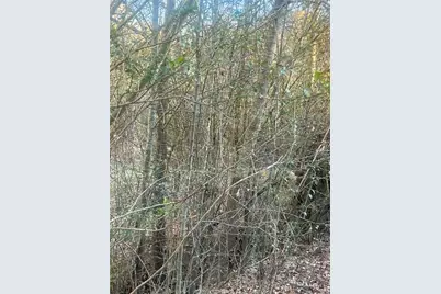 587 E Johnson Street, Temple, GA 30179 - Photo 5