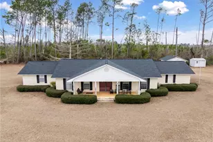 157 Walters Harrell Rd, Hazlehurst, GA 31539 - Photo 1