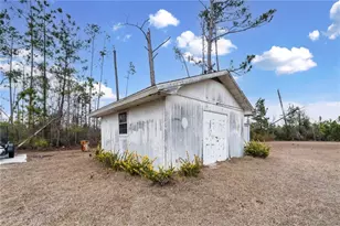 157 Walters Harrell Rd, Hazlehurst, GA 31539 - Photo 17