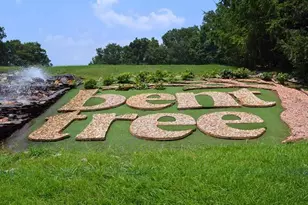 219 Coachwhip Ct, Jasper, GA 30143 - Photo 105