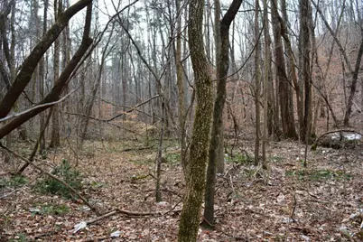 0 Willow Springs Road, Dallas, GA 30132 - Photo 3