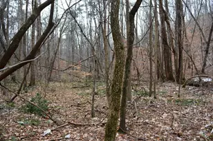 0 Willow Springs Rd, Dallas, GA 30132 - Photo 3