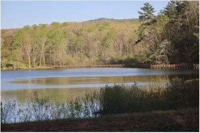 172 Trailwood Drive, Ellijay, GA 30540 - Photo 13