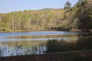 172 Trailwood Dr, Ellijay, GA 30540 - Photo 13