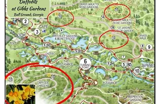 3725 Sierra Lake Dr, Cumming, GA 30040 - Photo 41