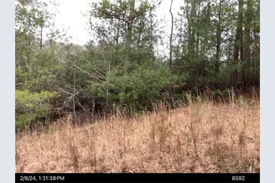 436 Meadow Lane, Talking Rock, GA 30175 - Photo 3