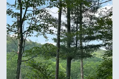 436 Meadow Lane, Talking Rock, GA 30175 - Photo 27