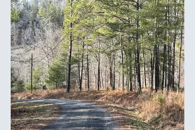 436 Meadow Lane, Talking Rock, GA 30175 - Photo 21