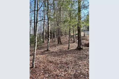 436 Meadow Lane, Talking Rock, GA 30175 - Photo 13