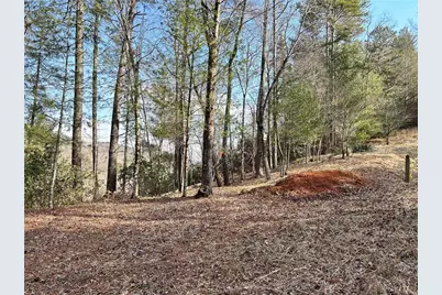 436 Meadow Lane, Talking Rock, GA 30175 - Photo 17