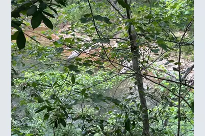 436 Meadow Lane, Talking Rock, GA 30175 - Photo 29