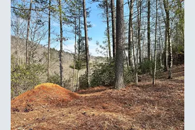 436 Meadow Lane, Talking Rock, GA 30175 - Photo 11