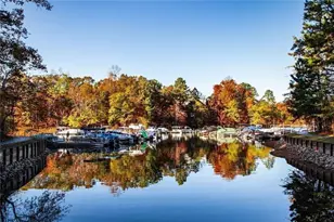 803 Night Fire Dr, Dawsonville, GA 30534 - Photo 77