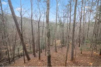 1204 Garnet, Ellijay, GA 30540 - Photo 33