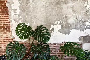 650 Glen Iris Dr NE, Atlanta, GA 30308 - Photo 11