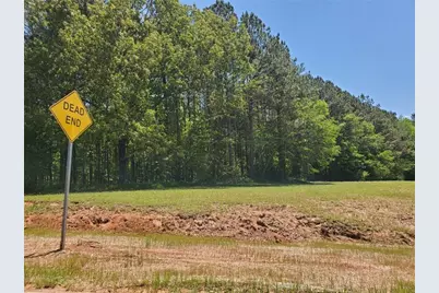 110 Hogan Pond Lane, Ball Ground, GA 30107 - Photo 3