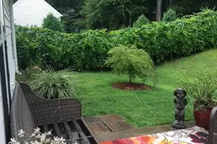 153 Birchwood Pass, Canton, GA 30114 - Photo 65