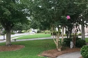 153 Birchwood Pass, Canton, GA 30114 - Photo 5