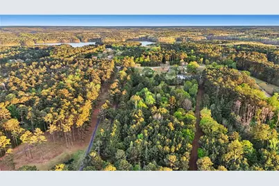 2955 Peeksville Road, Locust Grove, GA 30248 - Photo 51