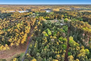 2955 Peeksville Rd, Locust Grove, GA 30248 - Photo 51