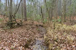 807 Hines Rd, Moreland, GA 30259 - Photo 15