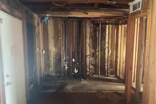 333 Westchester Dr, Athens, GA 30606 - Photo 3