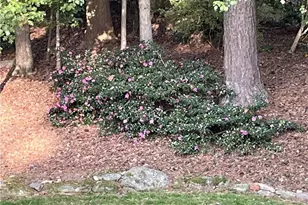 1656 Barn Swallow Pl, Marietta, GA 30062 - Photo 55