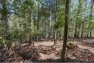 1243 Hooper Road NE, Cleveland, GA 30528 - Photo 19