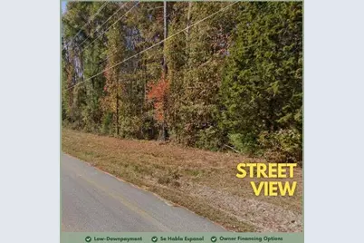 0 City Pond Road, Oxford, GA 30054 - Photo 3