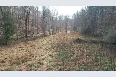 0000 Blackburn Tract 3A Road, Dawsonville, GA 30534 - Photo 13