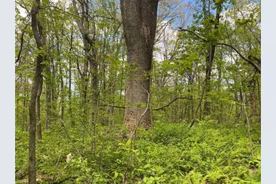 000 Burnt Mountain Cove Road, Jasper, GA 30143 - Photo 7