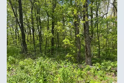 000 Burnt Mountain Cove Road, Jasper, GA 30143 - Photo 5