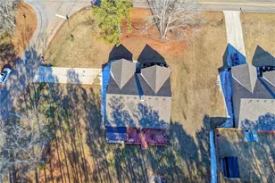 204 Lynn Rd, Bethlehem, GA 30620 - Photo 41