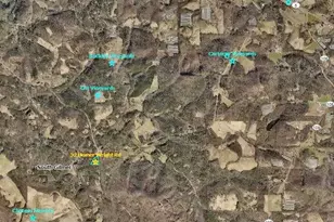 52 Homer Wright Rd, Ellijay, GA 30536 - Photo 5