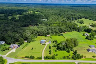 901 Tallapoosa East Church Rd, Buchanan, GA 30113 - Photo 93