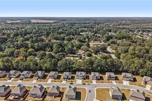 120 Cabin Way, Hampton, GA 30228 - Photo 41