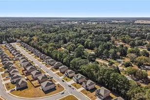 120 Cabin Way, Hampton, GA 30228 - Photo 43