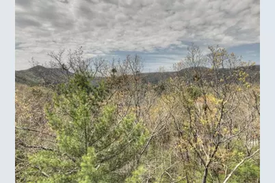 0 Hells Hollow Road, Blue Ridge, GA 30513 - Photo 51