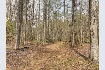 0 Hells Hollow Road, Blue Ridge, GA 30513 - Photo 33