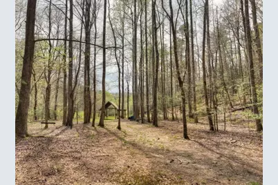 0 Hells Hollow Road, Blue Ridge, GA 30513 - Photo 35
