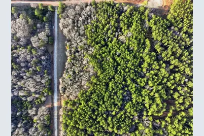 3510 Odessa Way, Loganville, GA 30052 - Photo 13