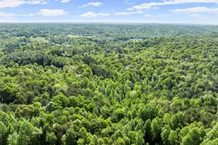 2239 Dean Mountain Rd, Cleveland, GA 30528 - Photo 55