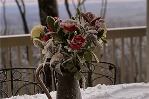 1911 Ridgeview Dr, Jasper, GA 30143 - Photo 57