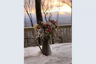 1911 Ridgeview Drive, Jasper, GA 30143 - Photo 55