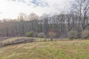 9235 Old Federal Rd, Ball Ground, GA 30107 - Photo 43