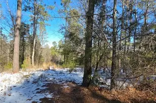 Lot 56 Hornets Bridge Dr, Elberton, GA 30635 - Photo 13