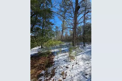 Lot 56 Hornets Bridge Drive, Elberton, GA 30635 - Photo 11