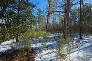 Lot 56 Hornets Bridge Dr, Elberton, GA 30635 - Photo 11